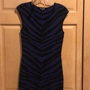Express sweater dress